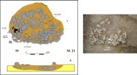 Chronicle of the Archaeological Excavations in Romania, 2006 Campaign. Report no. 54, Cârlomăneşti, La Arman<br /><a href='CronicaCAfotografii/2006/054/rsz-3.jpg' target=_blank>Display the same picture in a new window</a>