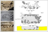 Chronicle of the Archaeological Excavations in Romania, 2006 Campaign. Report no. 54, Cârlomăneşti, La Arman<br /><a href='CronicaCAfotografii/2006/054/rsz-5.jpg' target=_blank>Display the same picture in a new window</a>