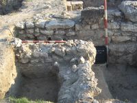 Cronica Cercetărilor Arheologice din România, Campania 2007. Raportul nr. 1.<br /> Sectorul basilica-cu-transept.