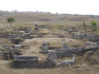 Cronica Cercetărilor Arheologice din România, Campania 2007. Raportul nr. 1.<br /> Sectorul basilica.