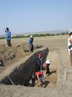 Cronica Cercetărilor Arheologice din România, Campania 2007. Raportul nr. 1.<br /> Sectorul tumul.
