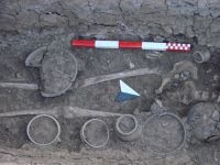 Cronica Cercetărilor Arheologice din România, Campania 2007. Raportul nr. 6