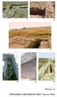 Chronicle of the Archaeological Excavations in Romania, 2007 Campaign. Report no. 88, Jurilovca, Cap Dolojman<br /><a href='CronicaCAfotografii/2007/088-JURILOVCA-TL-Argamum-C/plansa-2.jpg' target=_blank>Display the same picture in a new window</a>