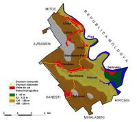 Cronica Cercetărilor Arheologice din România, Campania 2008. Raportul nr. 182