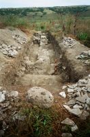 Cronica Cercetărilor Arheologice din România, Campania 2010. Raportul nr. 1.<br /> Sectorul SectorB-a.