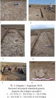 Cronica Cercetărilor Arheologice din România, Campania 2010. Raportul nr. 31
