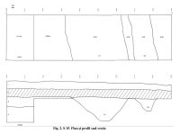 Chronicle of the Archaeological Excavations in Romania, 2010 Campaign. Report no. 125, Sălard, Valea Fărcaşului, traseul Autostrăzii Braşov-Borş, Km 54+150-54+350<br /><a href='CronicaCAfotografii/2010/125/31020-10-Salard-BH-1.jpg' target=_blank>Display the same picture in a new window</a>