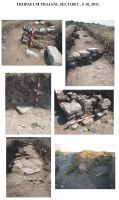 Cronica Cercetărilor Arheologice din România, Campania 2011. Raportul nr. 1.<br /> Sectorul SECTOR-C.