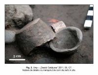 Cronica Cercetărilor Arheologice din România, Campania 2011. Raportul nr. 87.<br /> Sectorul IMDA.