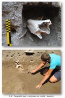 Chronicle of the Archaeological Excavations in Romania, 2012 Campaign. Report no. 15, Cheia, Peştera La Izvor, Grota Călugărului, Pazvant I<br /><a href='CronicaCAfotografii/2012/015-CHEIA-CT/cheia-pl-1-5-page-3.jpg' target=_blank>Display the same picture in a new window</a>