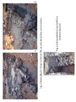 Cronica Cercetărilor Arheologice din România, Campania 2013. Raportul nr. 1
