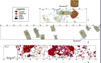 Chronicle of the Archaeological Excavations in Romania, 2014 Campaign. Report no. 117, Costeşti, Cier/Lângă Şcoală<br /><a href='CronicaCAfotografii/2014/117-Costesti/costesti-014-fig-4.jpg' target=_blank>Display the same picture in a new window</a>