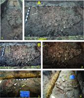 Chronicle of the Archaeological Excavations in Romania, 2014 Campaign. Report no. 117, Costeşti, Cier/Lângă Şcoală<br /><a href='CronicaCAfotografii/2014/117-Costesti/costesti-014-fig-5.jpg' target=_blank>Display the same picture in a new window</a>