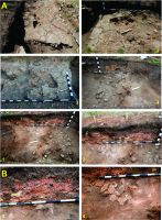 Chronicle of the Archaeological Excavations in Romania, 2014 Campaign. Report no. 117, Costeşti, Cier/Lângă Şcoală<br /><a href='CronicaCAfotografii/2014/117-Costesti/costesti-014-fig-7.jpg' target=_blank>Display the same picture in a new window</a>