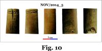 Chronicle of the Archaeological Excavations in Romania, 2014 Campaign. Report no. 124, Isaccea, Cetate (Pontonul Vechi)<br /><a href='CronicaCAfotografii/2014/124-Isaccea/nov-fig-10.jpg' target=_blank>Display the same picture in a new window</a>