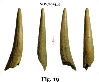 Chronicle of the Archaeological Excavations in Romania, 2014 Campaign. Report no. 124, Isaccea, Cetate (Pontonul Vechi)<br /><a href='CronicaCAfotografii/2014/124-Isaccea/nov-fig-19.jpg' target=_blank>Display the same picture in a new window</a>