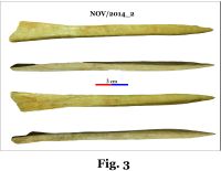 Chronicle of the Archaeological Excavations in Romania, 2014 Campaign. Report no. 124, Isaccea, Cetate (Pontonul Vechi)<br /><a href='CronicaCAfotografii/2014/124-Isaccea/nov-fig-3.jpg' target=_blank>Display the same picture in a new window</a>