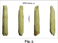 Chronicle of the Archaeological Excavations in Romania, 2014 Campaign. Report no. 124, Isaccea, Cetate (Pontonul Vechi)<br /><a href='CronicaCAfotografii/2014/124-Isaccea/nov-fig-5.jpg' target=_blank>Display the same picture in a new window</a>