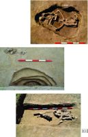 Chronicle of the Archaeological Excavations in Romania, 2014 Campaign. Report no. 124, Isaccea, Cetate (Pontonul Vechi)<br /><a href='CronicaCAfotografii/2014/124-Isaccea/pl-4-tpf.jpg' target=_blank>Display the same picture in a new window</a>