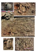 Chronicle of the Archaeological Excavations in Romania, 2015 Campaign. Report no. 58, Urlaţi, La Islaz/La Câmp<br /><a href='CronicaCAfotografii/2015/058-Urlati/plansa-2.jpg' target=_blank>Display the same picture in a new window</a>