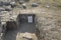 Cronica Cercetărilor Arheologice din România, Campania 2016. Raportul nr. 1