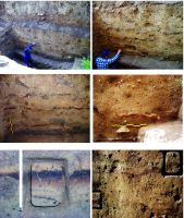 Chronicle of the Archaeological Excavations in Romania, 2016 Campaign. Report no. 18, Cheia, Cheia – Vatra Satului, Cheia – Peştera Craniilor, Pazvant II<br /><a href='CronicaCAfotografii/2016/018-Cheia-CT-Punct-Vatra-Satului-Pestera-Craniilor/pl-7.jpg' target=_blank>Display the same picture in a new window</a>