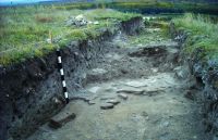 Chronicle of the Archaeological Excavations in Romania, 2016 Campaign. Report no. 25, Dunăreni, Sacidava<br /><a href='CronicaCAfotografii/2016/025-Dunareni-CT-Punct-Sacidava/fig-3-paviment-de-caramida.jpg' target=_blank>Display the same picture in a new window</a>