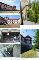 Chronicle of the Archaeological Excavations in Romania, 2016 Campaign. Report no. 105, Ineu<br /><a href='CronicaCAfotografii/2016/105-Ineu-AR-Punct-Cetatea-Ineului/pl-2.jpg' target=_blank>Display the same picture in a new window</a>