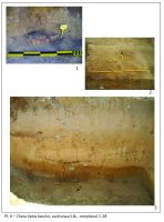 Chronicle of the Archaeological Excavations in Romania, 2017 Campaign. Report no. 18, Cheia, Vatra Satului, Pazvant I şi Pazvant II.<br /> Sector ILUSTRATIE-CHEIA-2017.<br /><a href='CronicaCAfotografii/2017/01-Cercetari-sistematice/018-Cheia-jud-Constanta-12-sist/ILUSTRATIE-CHEIA-2017/pl-6.jpg' target=_blank>Display the same picture in a new window</a>