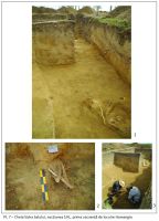 Chronicle of the Archaeological Excavations in Romania, 2017 Campaign. Report no. 18, Cheia, Pazvant II.<br /> Sector ILUSTRATIE-CHEIA-2017.<br /><a href='CronicaCAfotografii/2017/01-Cercetari-sistematice/018-Cheia-jud-Constanta-12-sist/ILUSTRATIE-CHEIA-2017/pl-7.jpg' target=_blank>Display the same picture in a new window</a>