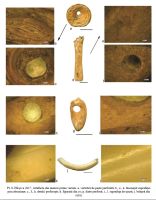 Cronica Cercetărilor Arheologice din România, Campania 2017. Raportul nr. 22