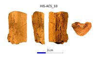 Chronicle of the Archaeological Excavations in Romania, 2017 Campaign. Report no. 28, Istria, Cetate.<br /> Sector IMDA-Histria-Acropola-Centru-Sud\HIS-ACS-IMDA-Figuri.<br /><a href='CronicaCAfotografii/2017/01-Cercetari-sistematice/028-Istria-jud-Constanta-acropola-28/IMDA-Histria-Acropola-Centru-Sud/HIS-ACS-IMDA-Figuri/fig-11.jpg' target=_blank>Display the same picture in a new window</a>