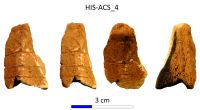 Chronicle of the Archaeological Excavations in Romania, 2017 Campaign. Report no. 28, Istria, Cetate.<br /> Sector IMDA-Histria-Acropola-Centru-Sud\HIS-ACS-IMDA-Figuri.<br /><a href='CronicaCAfotografii/2017/01-Cercetari-sistematice/028-Istria-jud-Constanta-acropola-28/IMDA-Histria-Acropola-Centru-Sud/HIS-ACS-IMDA-Figuri/fig-5.jpg' target=_blank>Display the same picture in a new window</a>
