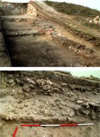 Chronicle of the Archaeological Excavations in Romania, 2017 Campaign. Report no. 35, Jurilovca, Cetate.<br /> Sector ilustratie.<br /><a href='CronicaCAfotografii/2017/01-Cercetari-sistematice/035-Jurilovca-jud-Tulcea-Argamum-23-sist/ilustratie/pl-8-argamum-sector-incinta-nord.jpg' target=_blank>Display the same picture in a new window</a>