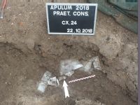 Chronicle of the Archaeological Excavations in Romania, 2018 Campaign. Report no. 2, Alba Iulia, Palatul guvernatorului consular al celor trei Dacii.<br /> Sector Apulum-2019\Ilustratie.<br /><a href='CronicaCAfotografii/2018/1-sistematice/002-Alba-Iulia-Palatul-Guv-AB-s/Apulum-2019/Ilustratie/pl-viic.jpg' target=_blank>Display the same picture in a new window</a>