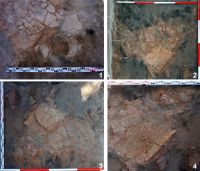 Chronicle of the Archaeological Excavations in Romania, 2018 Campaign. Report no. 19, Costeşti, Cier<br /><a href='CronicaCAfotografii/2018/1-sistematice/019-Costesti-IS-s/fig-3-l-9-detalii.jpg' target=_blank>Display the same picture in a new window</a>