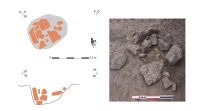 Chronicle of the Archaeological Excavations in Romania, 2018 Campaign. Report no. 41, Maliuc, Taraschina.<br /> Sector Ilustratii.<br /><a href='CronicaCAfotografii/2018/1-sistematice/041-Maliuc-Taraschina-TL-s/Ilustratii/pl-viii.jpg' target=_blank>Display the same picture in a new window</a>