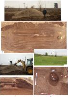 Chronicle of the Archaeological Excavations in Romania, 2018 Campaign. Report no. 99, Blejoi, Centura de Vest<br /><a href='CronicaCAfotografii/2018/2-preventive/099-Blejoi-centura-PH-p/plansa-1.jpg' target=_blank>Display the same picture in a new window</a>