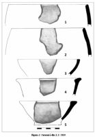 Chronicle of the Archaeological Excavations in Romania, 2019 Campaign. Report no. 25, Dobrovăţ, Pădurea Buda - Cetăţuia<br /><a href='CronicaCAfotografii/2019/01-sistematice/025-dobrovat-is-padurea-buda-s/fig-3-dobrovat-cetatuia-ceramica-l1.jpg' target=_blank>Display the same picture in a new window</a>