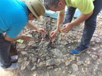 Chronicle of the Archaeological Excavations in Romania, 2019 Campaign. Report no. 25, Dobrovăţ, Pădurea Buda - Cetăţuia<br /><a href='CronicaCAfotografii/2019/01-sistematice/025-dobrovat-is-padurea-buda-s/fig9-dobrovat-padurea-buda-impregnare-altar.jpg' target=_blank>Display the same picture in a new window</a>