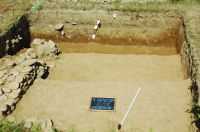 Chronicle of the Archaeological Excavations in Romania, 2019 Campaign. Report no. 42, Iaz, Necropola romană I<br /><a href='CronicaCAfotografii/2019/01-sistematice/042-jupa-cs-tibiscum-s/fig-3.JPG' target=_blank>Display the same picture in a new window</a>