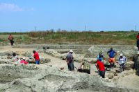 Chronicle of the Archaeological Excavations in Romania, 2020 Campaign. Report no. 17, Giurgeni, Oraşul de Floci<br /><a href='CronicaCAfotografii/2020/01-Sistematice/017-giurgeni/img-0152.JPG' target=_blank>Display the same picture in a new window</a>