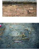 Chronicle of the Archaeological Excavations in Romania, 2020 Campaign. Report no. 28, Maliuc, Taraschina.<br /> Sector 6624.<br /><a href='CronicaCAfotografii/2020/01-Sistematice/028-maliuc/6624/pl-004.jpg' target=_blank>Display the same picture in a new window</a>