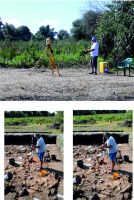 Chronicle of the Archaeological Excavations in Romania, 2020 Campaign. Report no. 28, Maliuc, Taraschina.<br /> Sector 6624.<br /><a href='CronicaCAfotografii/2020/01-Sistematice/028-maliuc/6624/pl-006.jpg' target=_blank>Display the same picture in a new window</a>