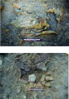 Chronicle of the Archaeological Excavations in Romania, 2020 Campaign. Report no. 28, Maliuc, Taraschina.<br /> Sector 6624.<br /><a href='CronicaCAfotografii/2020/01-Sistematice/028-maliuc/6624/pl-012.jpg' target=_blank>Display the same picture in a new window</a>