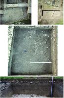 Chronicle of the Archaeological Excavations in Romania, 2020 Campaign. Report no. 40, 	Rapoltu Mare, La Vie<br /><a href='CronicaCAfotografii/2020/01-Sistematice/040-rapoltu-mare/pl-2.jpg' target=_blank>Display the same picture in a new window</a>