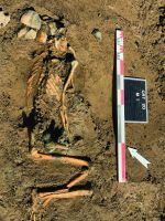 Chronicle of the Archaeological Excavations in Romania, 2020 Campaign. Report no. 48, Sultana, Valea Orbului.<br /> Sector 6598-sultana.<br /><a href='CronicaCAfotografii/2020/01-Sistematice/048/6598-sultana/fig-2-m-1-curatesti.jpg' target=_blank>Display the same picture in a new window</a>